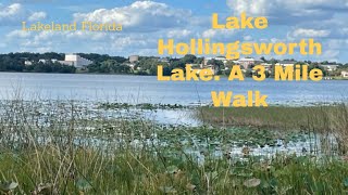 A Walk around Lake Hollingsworth, in Lakeland Florida