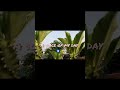 Day-47/60 | A slice of my day ✨🧿|#60dayschallenge #minivlog