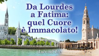 Da Lourdes A Fatima Quel Cuore  Immacolato