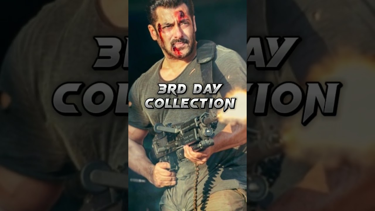 ANIMAL VS TIGER 3 WEEKEND COLLECTION 