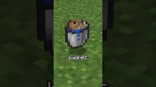 Renaming without name-tag??? #minecraft