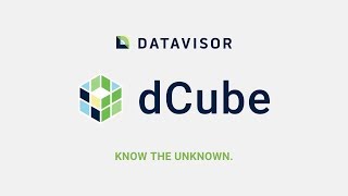 dCube: The Complete Fraud Prevention Platform screenshot 3