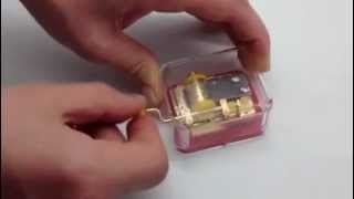 IMG_1699.MOV