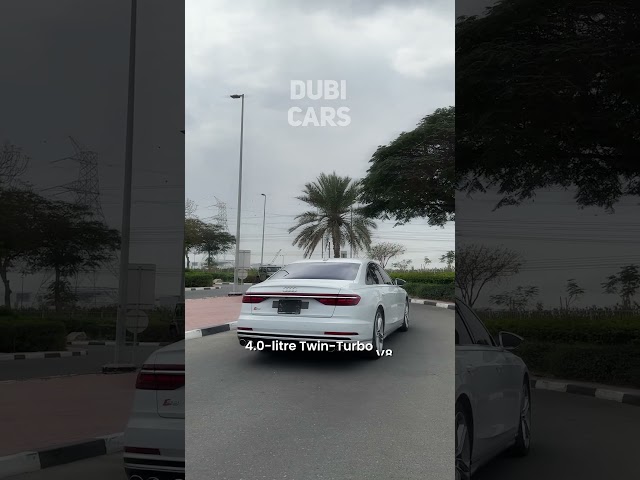 Audi S8 is the Perfect Blend of Speed and Luxury!