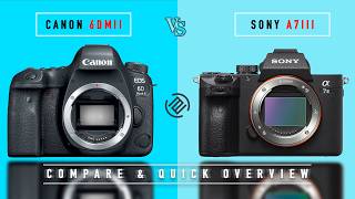 Canon 6d Mii Vs Sony A7iii