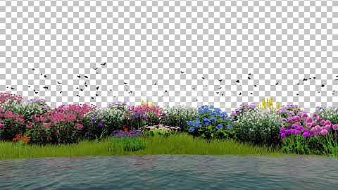 Flower Field Background | Motion Graphics - Envato elements