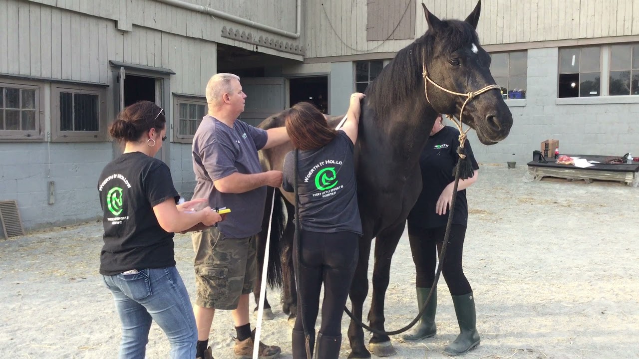 Sara Instructing on Measurements