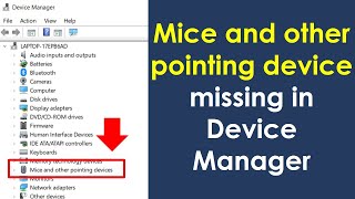 mice and other pointing devices missing in device manager