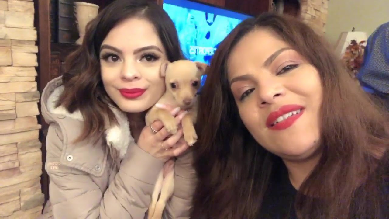 NAVIDAD EN FAMILIA 24 & 25 video editing software free