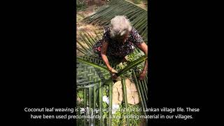 Episode 15 - Art of Coconut Leaf Weaving!