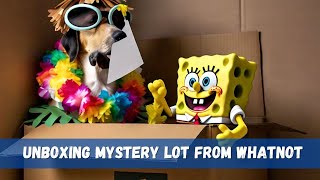 Unboxing Mystery Toy Lot from Whatnot