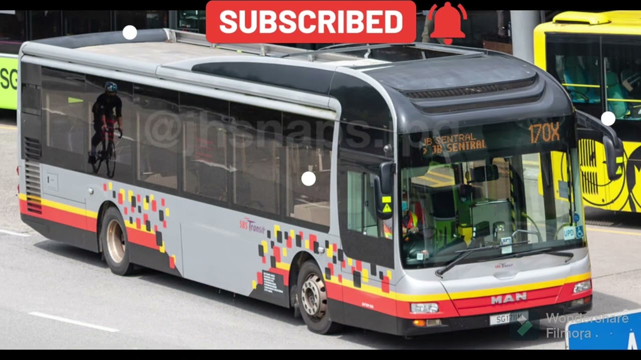 The buses that I like a lot! 