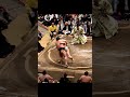 琴櫻VS若元春!2026年大相撲5月場所