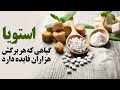 استویا گیاهی که هر برگش هزاران فایده دارد