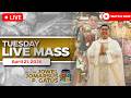 TUESDAY FILIPINO LIVE MASS TODAY *APRIL 21, 2026* FR. JOWEL JOMARSUS GATUS
