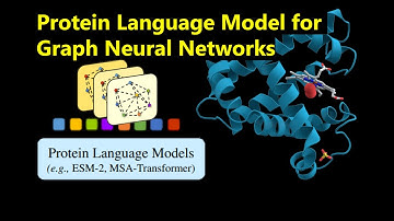 Integration of Pre-Trained Protein Language Models into Geometric Deep Learning Networks (Paper Rev)