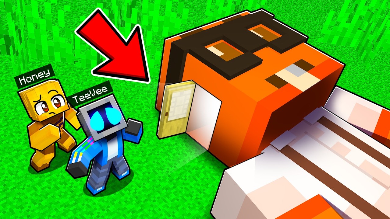 What's Inside my Friends Heads in Minecraft?!