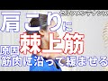 肩こりセルフメンテナンス動画②【棘上筋編】