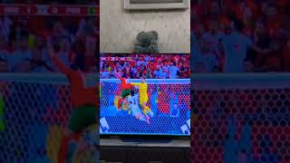 réaction mohamed adnan رد فعل محمد عدنان على المغرب ضد البرتغال