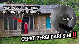 Download Lagu MUSTAHIL UNTUK PERCAYA!! TAPI ORANG INI TINGGAL DI RUMAH YANG TIDAK MASUK AKAL MP3 Download Lagu MUSTAHIL UNTUK PERCAYA!! TAPI ORANG INI TINGGAL DI RUMAH YANG TIDAK MASUK AKAL MP3