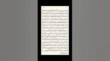 الورد اليومي: 4 صفحات (165-166-167-168) لتجنب هجر القرآن | تذكير يومي مستمر #قرآن #تلاوة