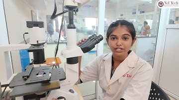 🎓 Admission Open 2025 – B.Tech Biotechnology 2025 at Vel Tech! 🚀