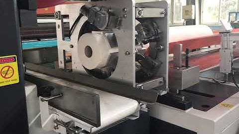 Maxi roll band saw cutting machine