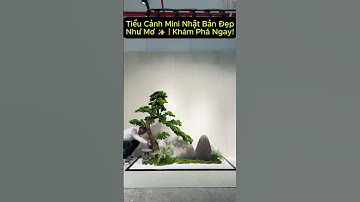 Nghệ Thuật Tiểu Cảnh Vườn Nhật Trong Nhà 🏯 | Kiệt Tác Thu Nhỏ Tinh Tế