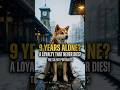 He Waited 9 Years! 🐕😭 #shorts