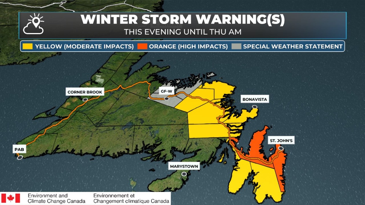 LIVE: Major Winter Storm Arrives in Eastern Newfoundland Overnight