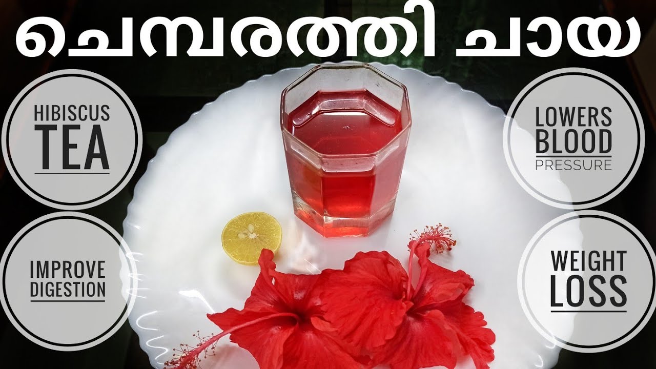 ചെമ്പരത്തി ചായ..☕🍷☕ Hibiscus tea Improve digestion Weight loss 