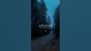 #رعد_الكردي #راحة_نفسية #سورةالنجم