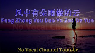 Feng Zhong You Duo Yu Zuo De Yun ( 风中有朵雨做的云 ) Female Karaoke Mandarin - No Vocal