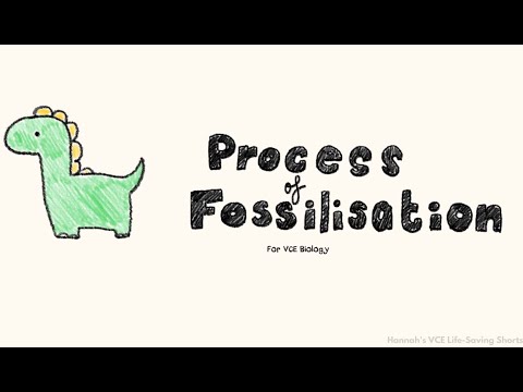 Understand fossilization in 1 MINUTE (VCE Biology)