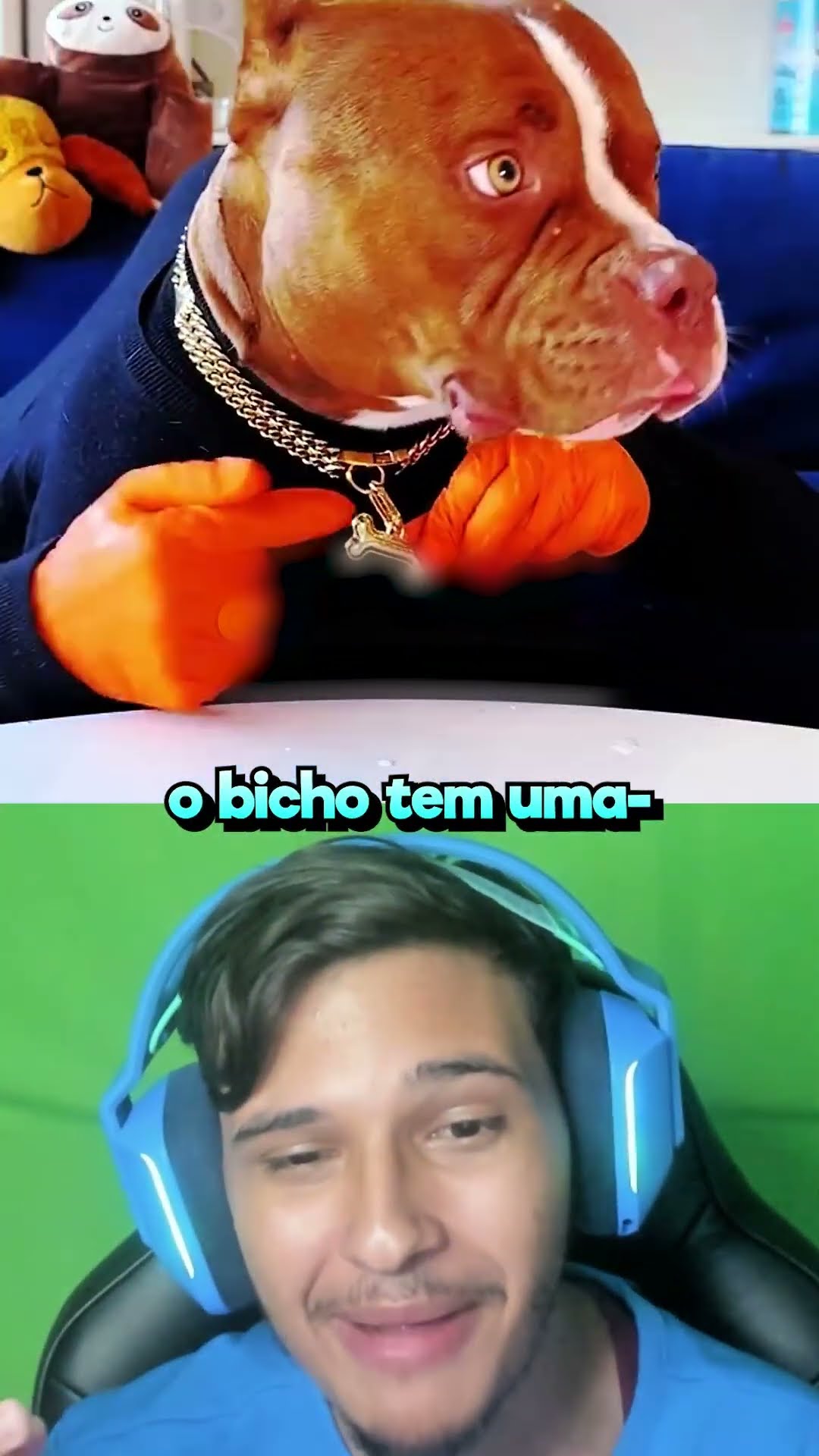 Cachorros Normais vs …