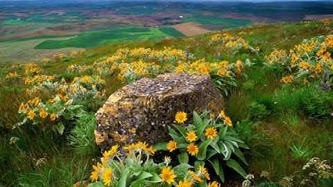 Ibrahim Jibreen - Surat Al-Anfal - 1/3 - سورة الأنفال