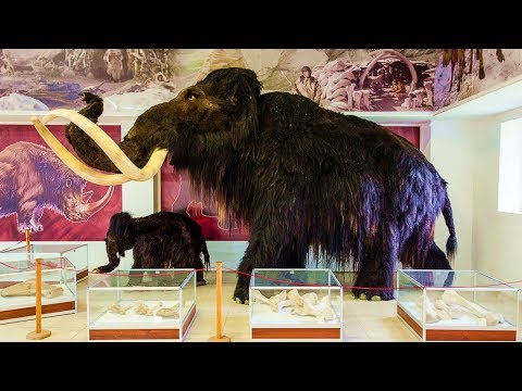 Костёнки, жизнь в палеолите (рассказывает археолог Владислав Житенёв)
