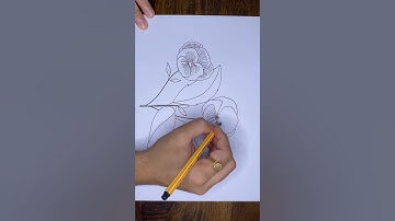 Simple free hand drawing to improve skills | Free tutorials @likeokplease #shorts