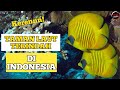 Inilah Taman Laut TERINDAH Di Indonesia!