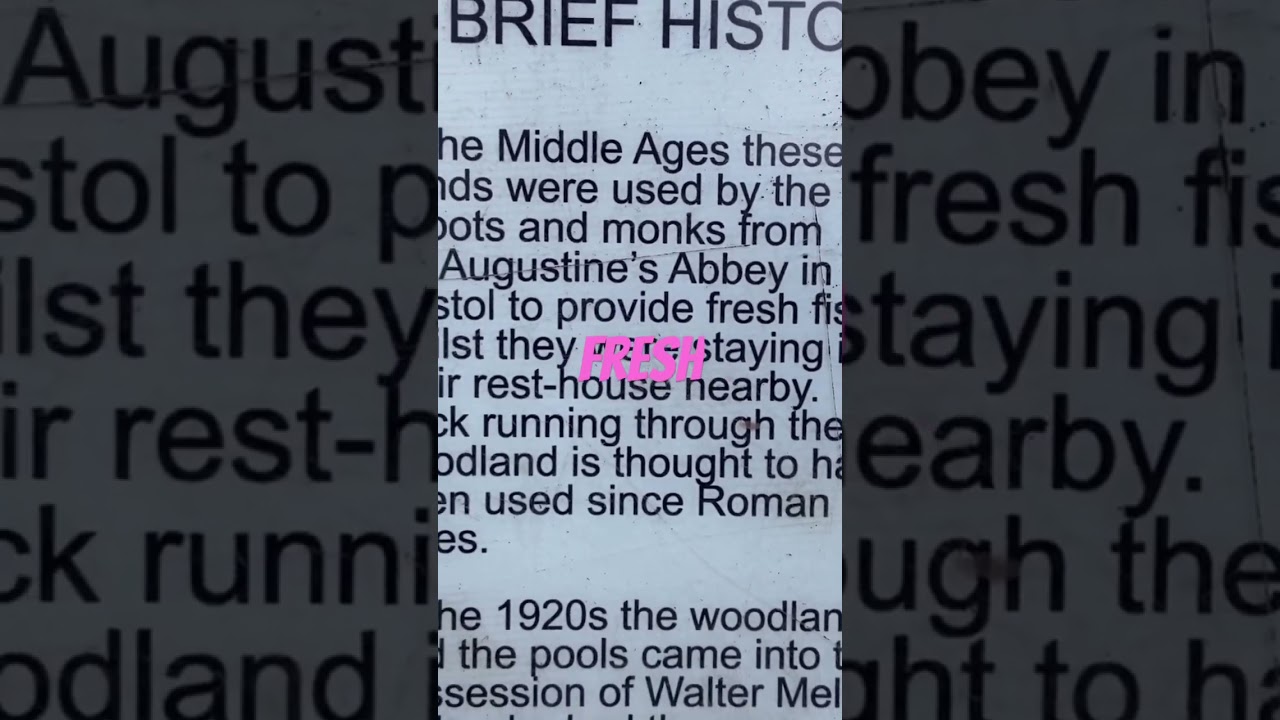 Uncovering the History of Abbots Pool! 🏞️ From medieval times to modern fishing 