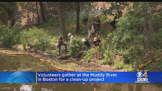 Volunteers Gather To Clean Up Trash In Boston's Muddy River Profile