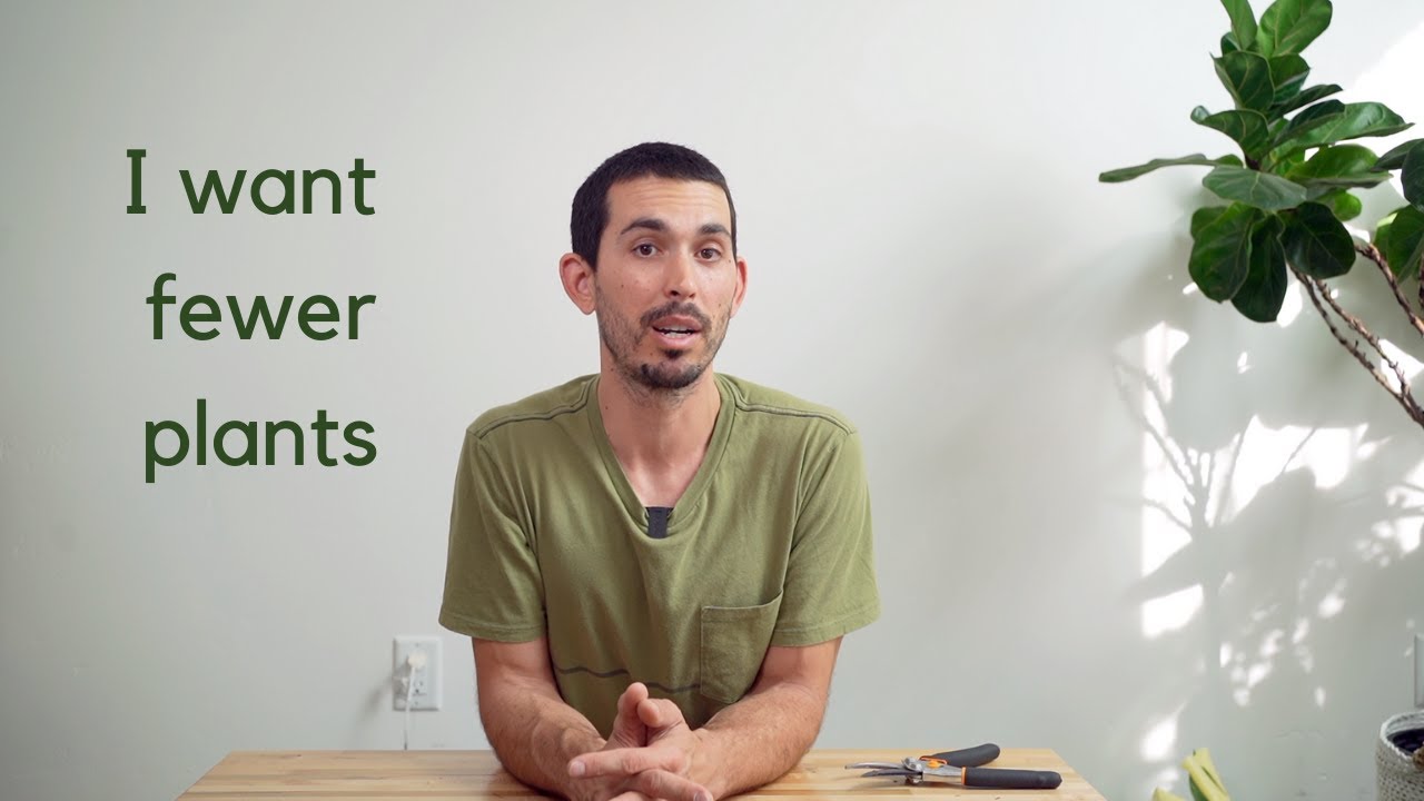 Downsizing My Plant Collection and Preparing for a Plant Sale