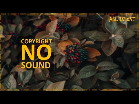 موسيقى رائعة للمونتاج والفلوقات بدون حقوق طبع ونشر موسيقى للمونتاج على الفيديوهات بدون حقوق