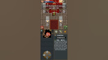 TibiaME W9 Zhufang Finally Reached Lvl 200