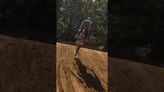 Things were going so good 😬