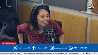 "El escándalo en el Ministerio de Capital Humano, por Gabriela Vulcano | Pasaron Cosas"