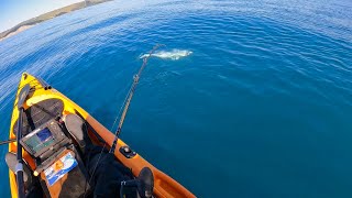 Monster fish tows my Kayak on light gear - will i capture it?