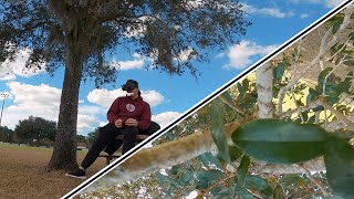 Diatone Roma F5 Its Seriously So Smooth