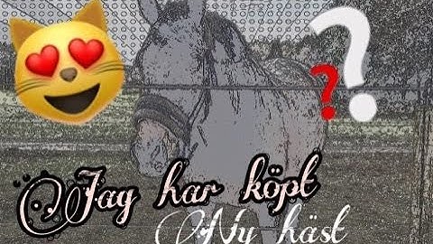Jag har köpt ny häst!!