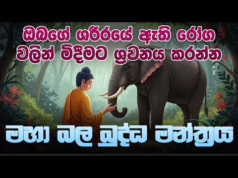 රෝග වලින් මිදීමට ශ්‍රවනය කරන්න බලගතු බුද්ධ මන්ත්‍රය | 108 වරක් දේශිතයි | Pirith | Dahami Desawana